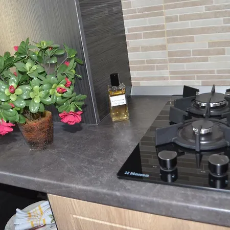 Apartment Solid 387 Mamaia